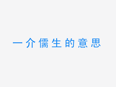 成语一介儒生的意思