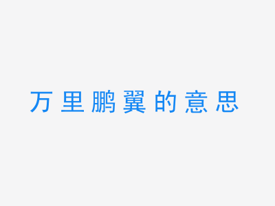 成语万里鹏翼的意思