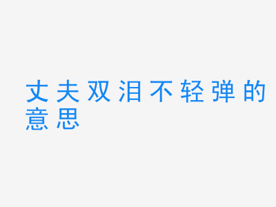 成语丈夫双泪不轻弹的意思