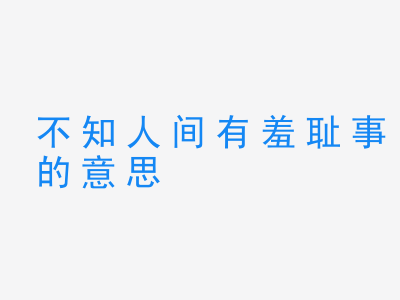 成语不知人间有羞耻事的意思