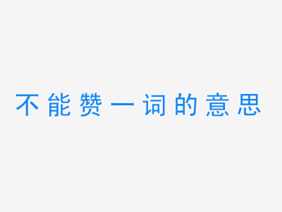 成语不能赞一词的意思