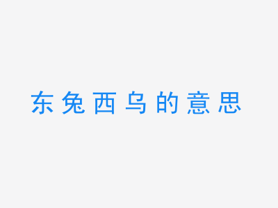 成语东兔西乌的意思