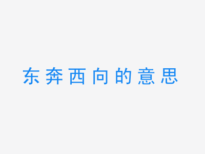 成语东奔西向的意思