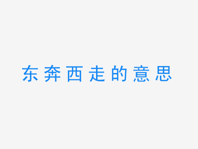 成语东奔西走的意思