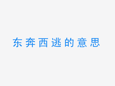 成语东奔西逃的意思