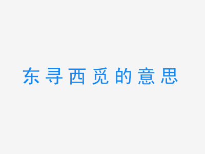 成语东寻西觅的意思