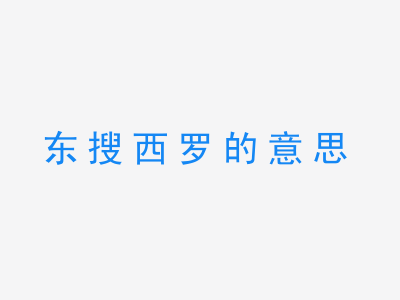 成语东搜西罗的意思