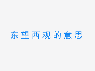 成语东望西观的意思