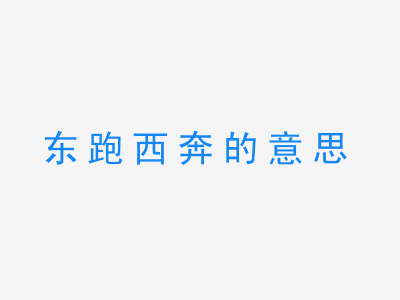 成语东跑西奔的意思