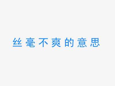 成语丝毫不爽的意思