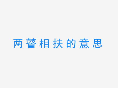 成语两瞽相扶的意思