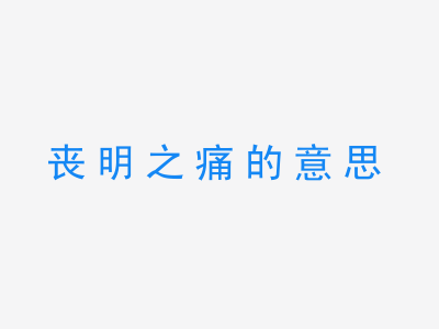 成语丧明之痛的意思