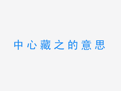 成语中心藏之的意思