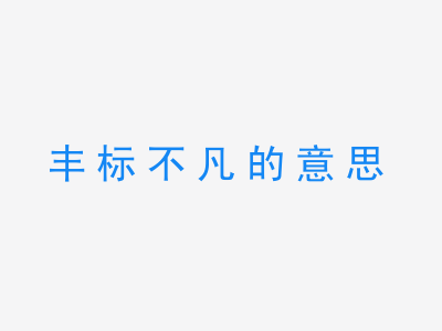 成语丰标不凡的意思