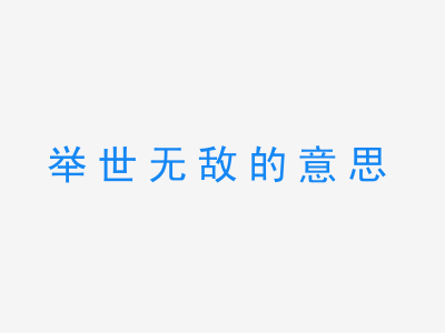 成语举世无敌的意思