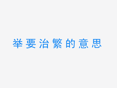 成语举要治繁的意思