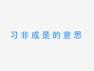 成语习非成是的意思