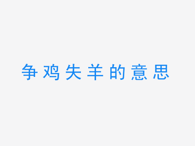 成语争鸡失羊的意思