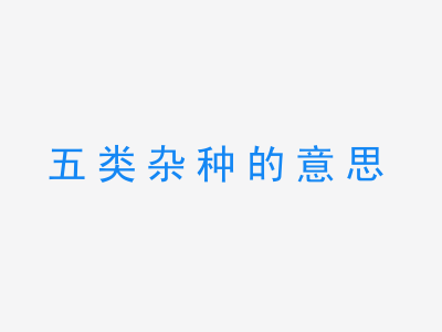 成语五类杂种的意思