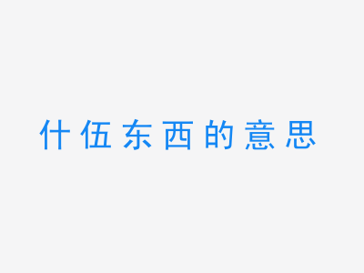 成语什伍东西的意思