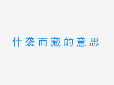 成语什袭而藏的意思