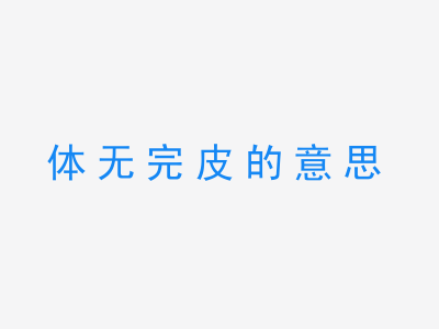 成语体无完皮的意思