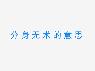 成语分身无术的意思