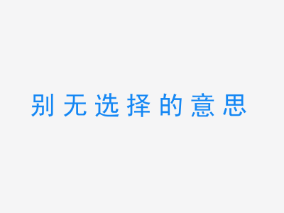 成语别无选择的意思