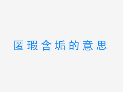 成语匿瑕含垢的意思