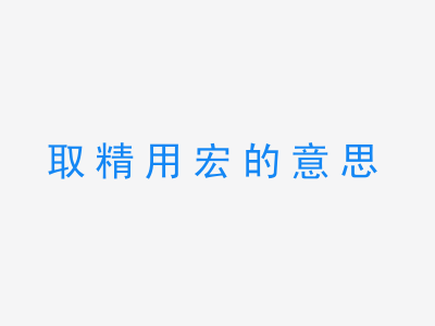 成语取精用宏的意思