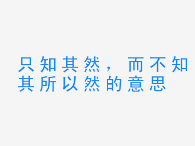 成语只知其然，而不知其所以然的意思