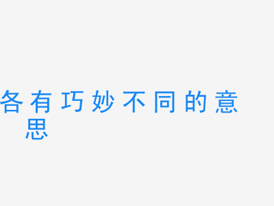 成语各有巧妙不同的意思