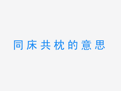 成语同床共枕的意思