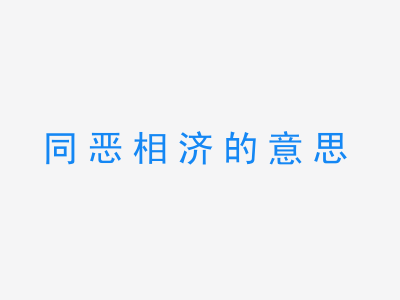 成语同恶相济的意思