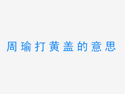 成语周瑜打黄盖的意思