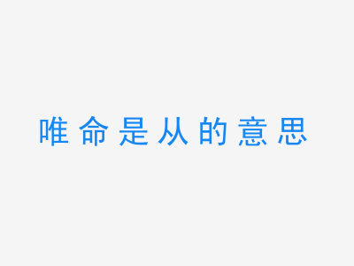 成语唯命是从的意思