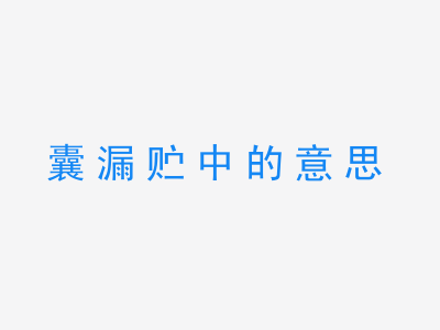 成语囊漏贮中的意思