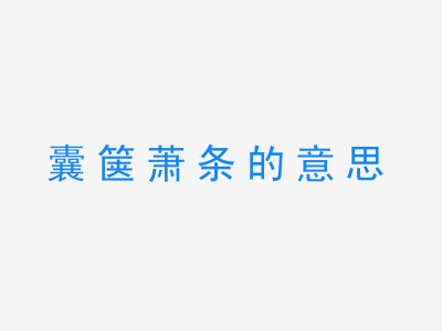 成语囊箧萧条的意思