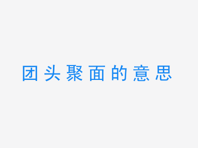 成语团头聚面的意思