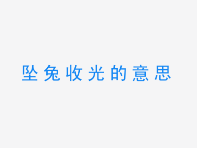 成语坠兔收光的意思