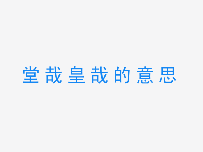 成语堂哉皇哉的意思