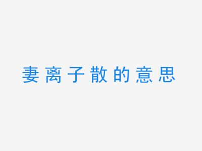 成语妻离子散的意思