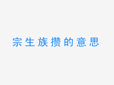 成语宗生族攒的意思