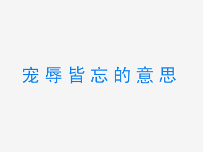 成语宠辱皆忘的意思