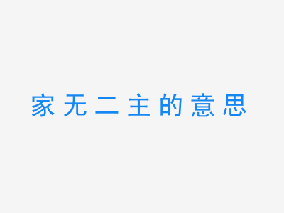 成语家无二主的意思