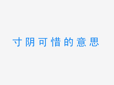 成语寸阴可惜的意思