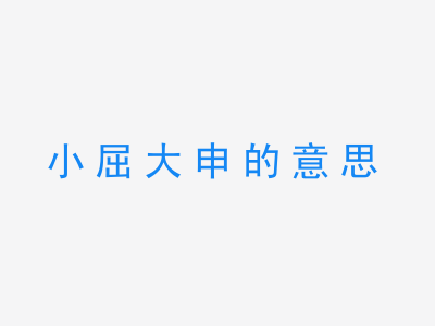 成语小屈大申的意思