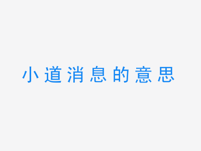 成语小道消息的意思