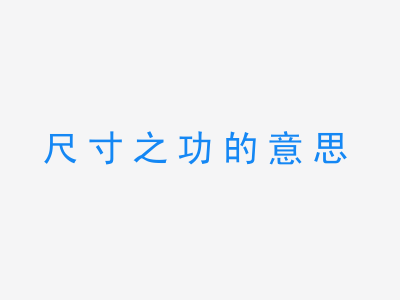 成语尺寸之功的意思