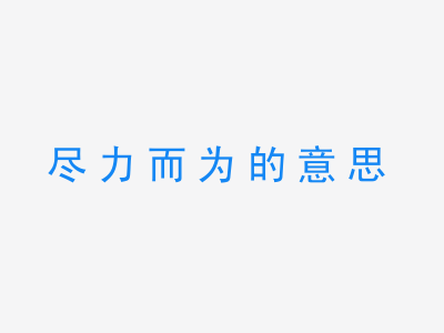 成语尽力而为的意思